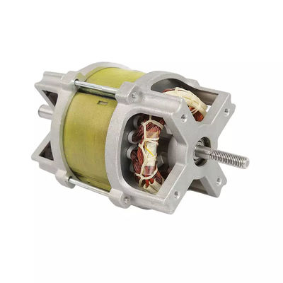 60-200w enige Faseac Inductiemotor 230v 50Hz voor de Pomp van de Zandfilter