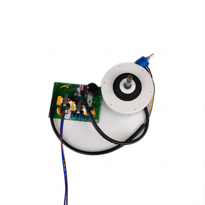 Brushless 110V/220V 10-250W Asbldc Motor van de EG voor Airconditionerzuiveringsinstallatie