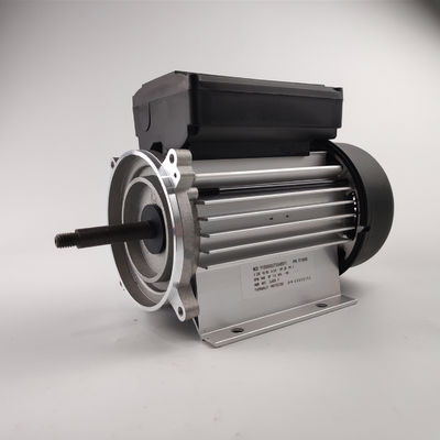 300-700W elektrische de Motor Enige Fase 3000rpm van de Waterpomp voor Kuuroord en Badkuippompen