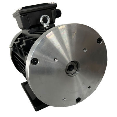 Y100 112 132 DC Permanente magneet borstelloze motor voor AGV hydraulisch geleide vrachtwagen