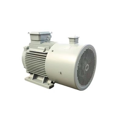 F-klasse 50 pk elektrische hoge-efficiëntie permanente magneetmotor