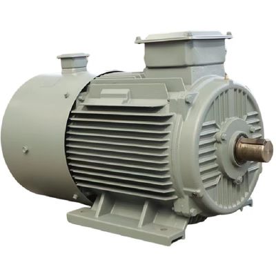 Maximaal 50 kg meelcapaciteit Permanente magneet synchrone motor IEC/DIN standaard lucht/water koeling